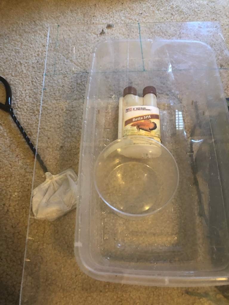 Betta Breeding Journal (experimental 1, setting up) Betta Keepers Amino