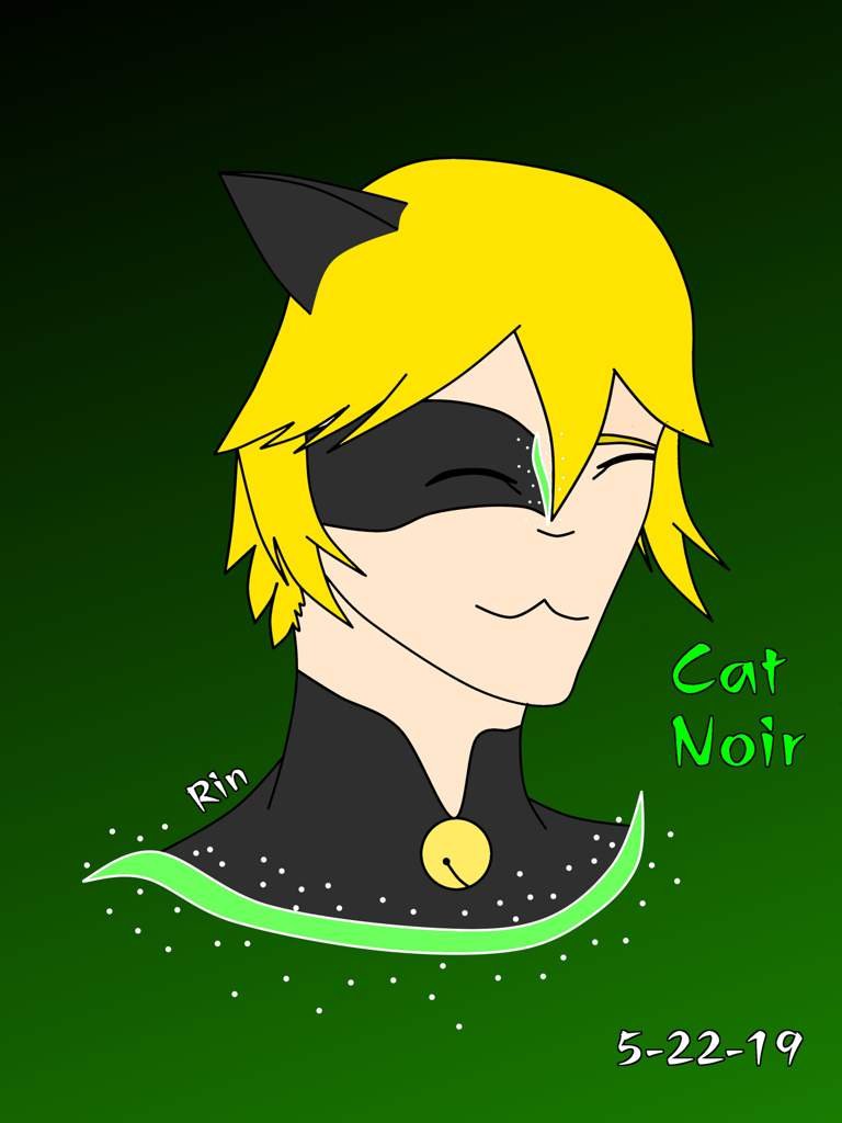 good-kitty-wiki-miraculous-ladybug-amino