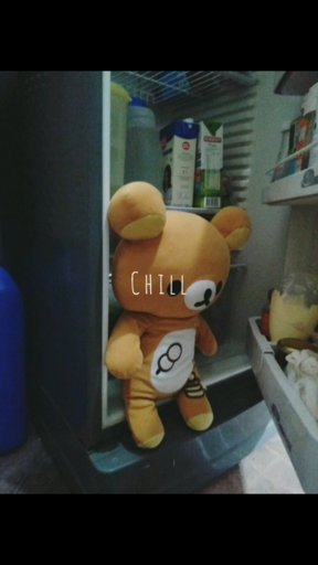 amino-【﻿Ｒｉｌａｋｋｕｍａ Ｌｏｖｅｒ】-7cd238d9