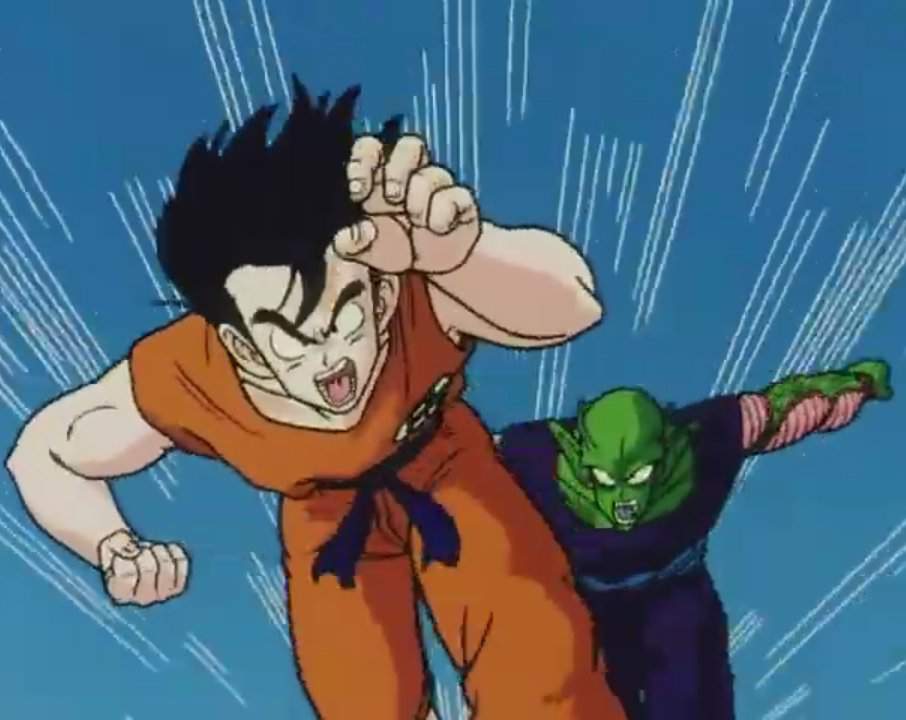 Lr Goku & Piccolo 