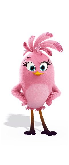 who voices pinky in angry birds 2