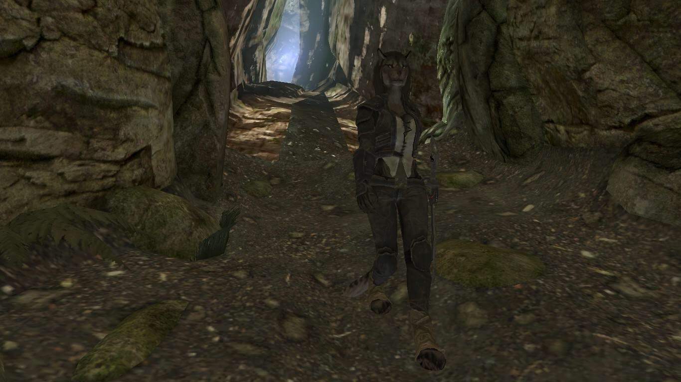 Tunnel Tamriel Elder Scrolls Amino Amino