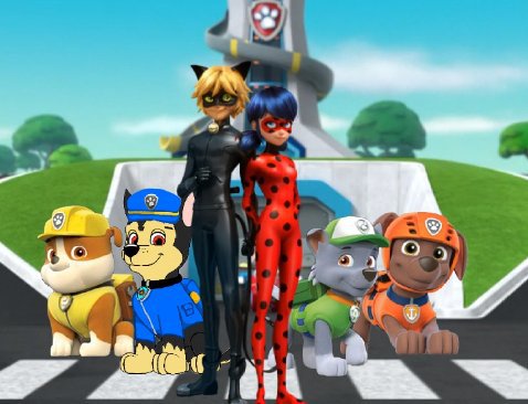 miraculous paw patrol