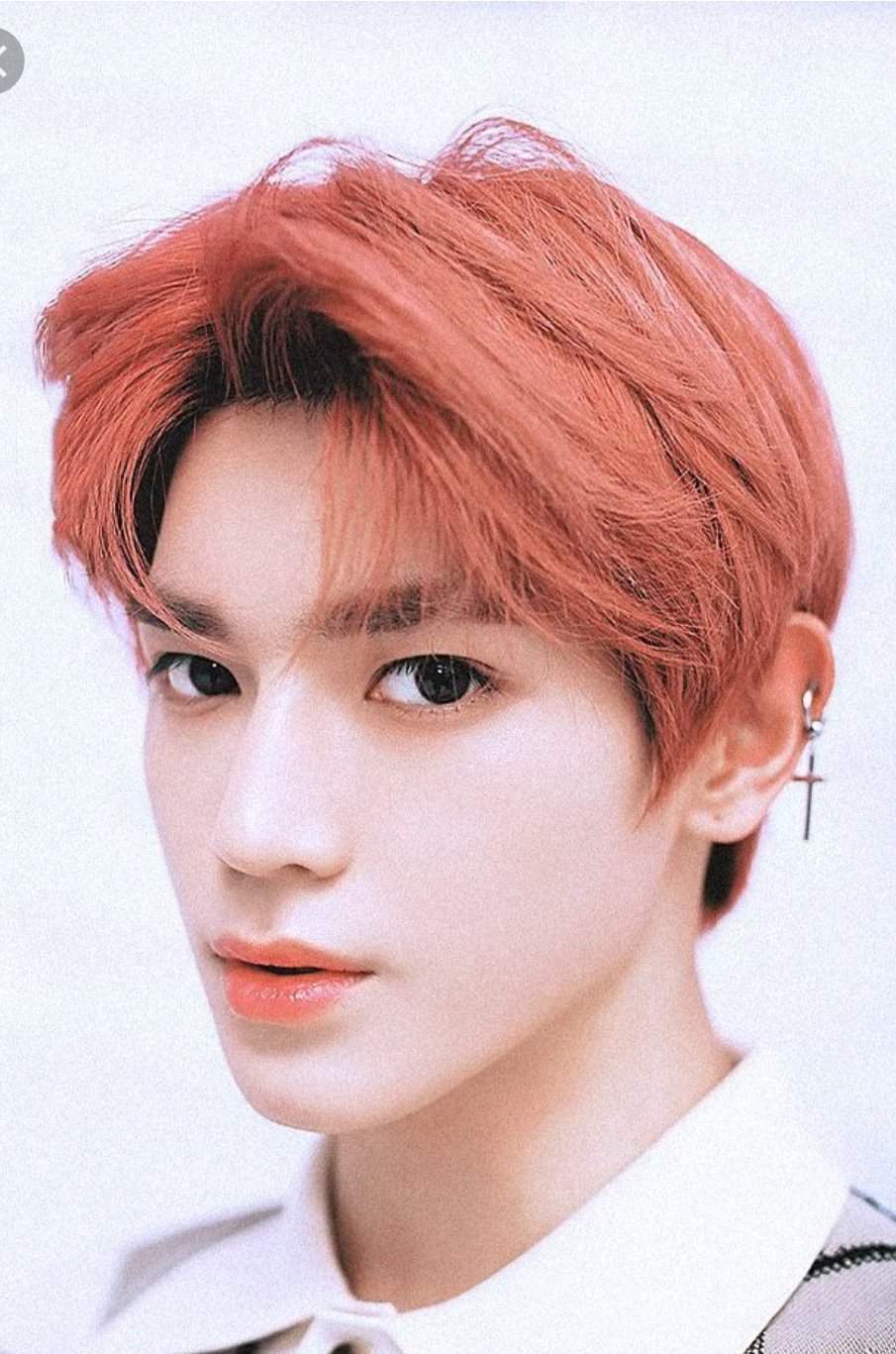 Taeyong | Wiki | NCT (엔시티) Amino