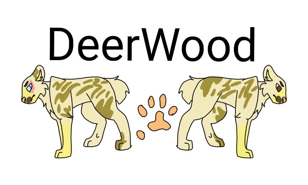 DeerWood Wiki WarriorsCatAmino Amino