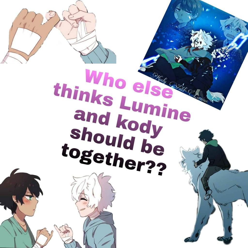 Ship Official Lumine Amino