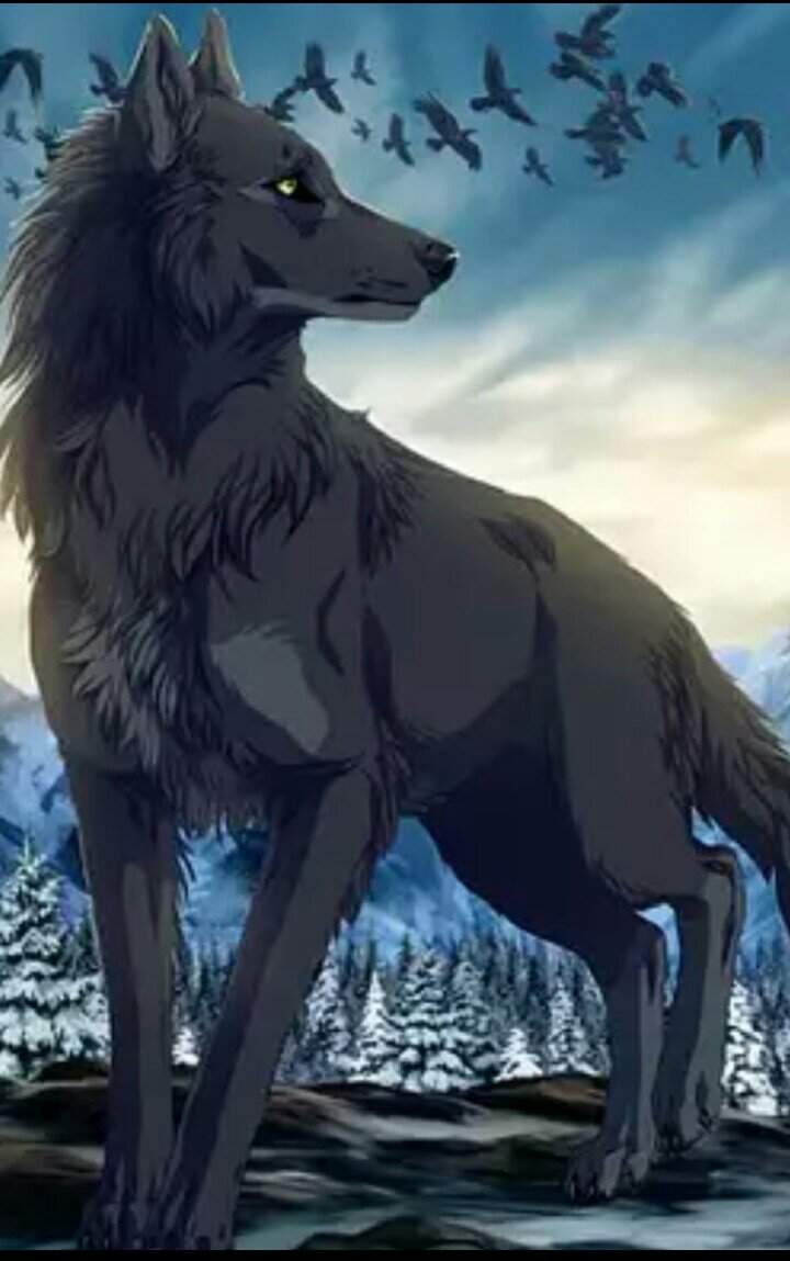 Чёрный волк аниме