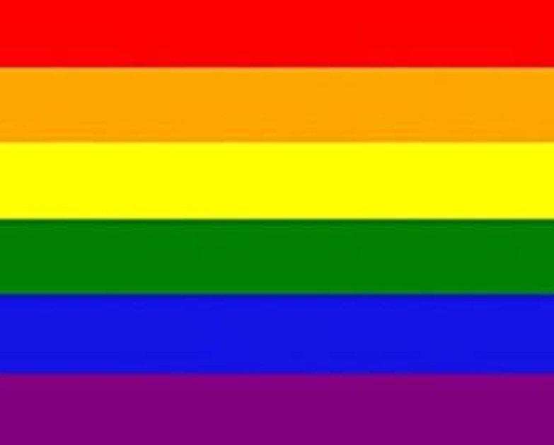 Moe Gay Pride MOE Can Change! Amino Amino