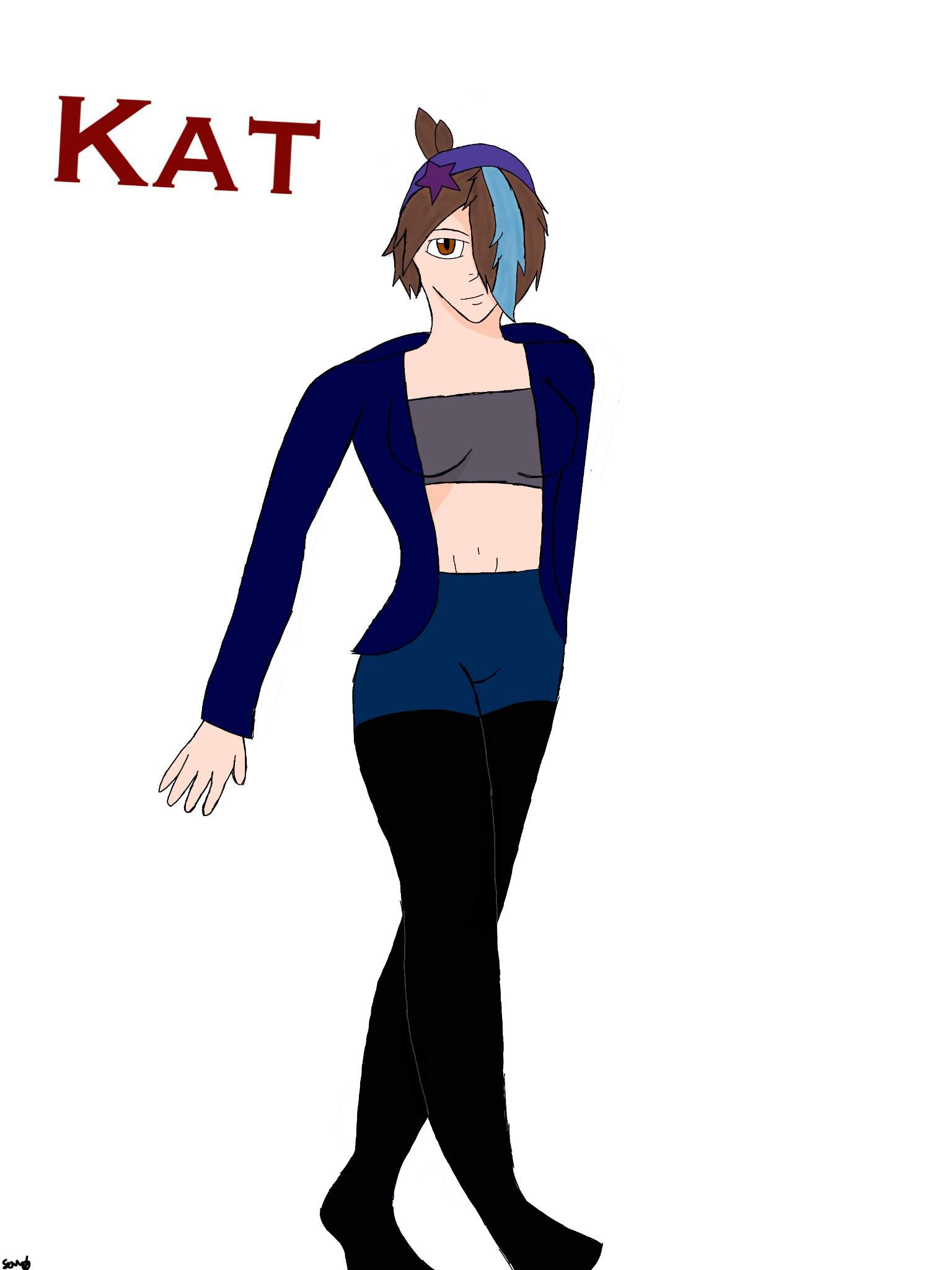 commission-for-kat-original-creations-amino