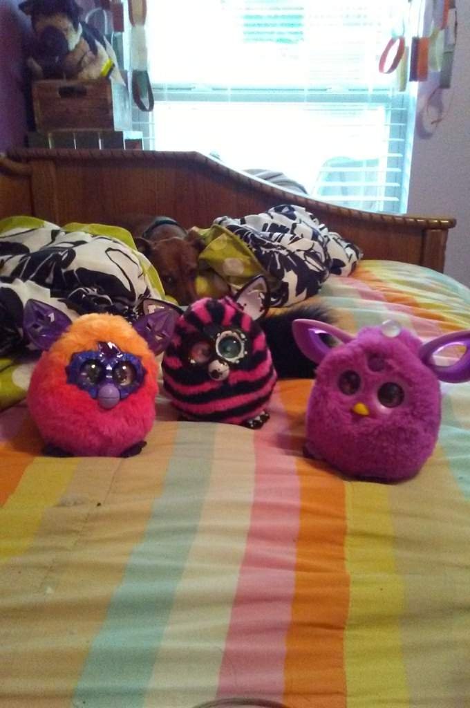 custom furby