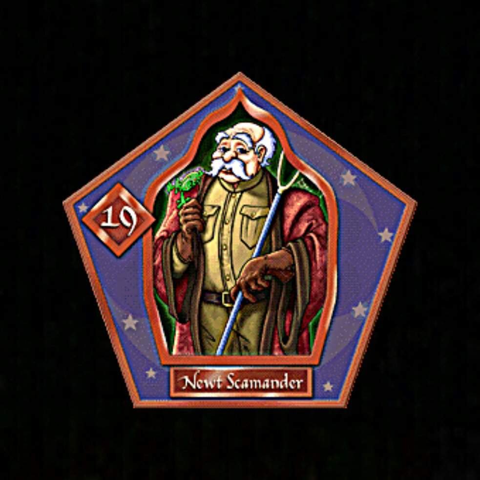 Newt Scamander Wiki ⚡.HARRY POTTER.⚡ Amino
