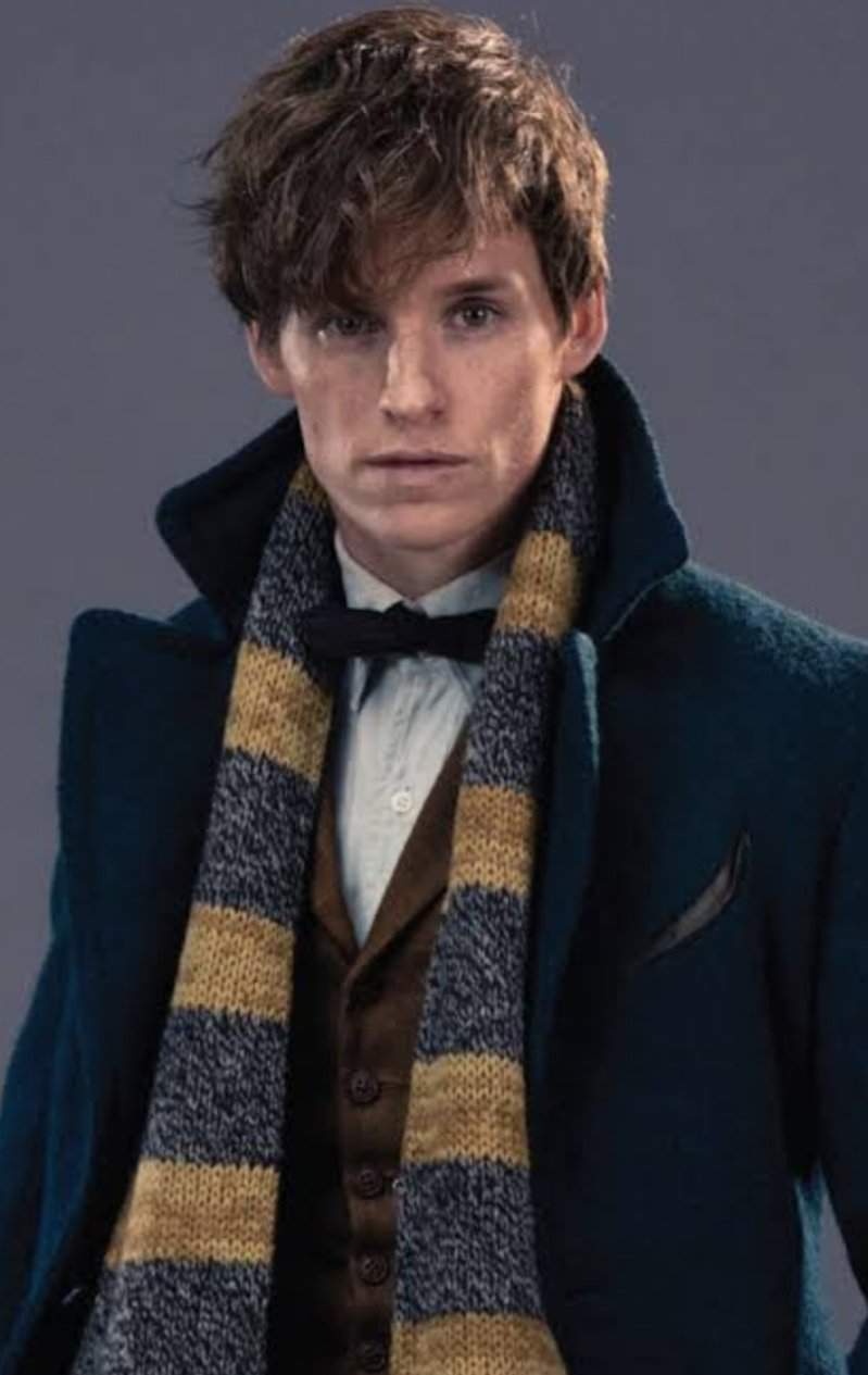 Newt Scamander Wiki •Harry Potter• Español Amino