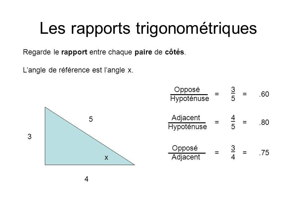 Aide Rapports Trigonométriques | Étude Amino Amino