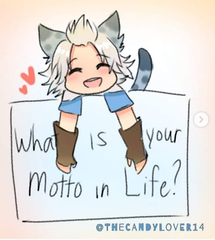 what is the motto of life