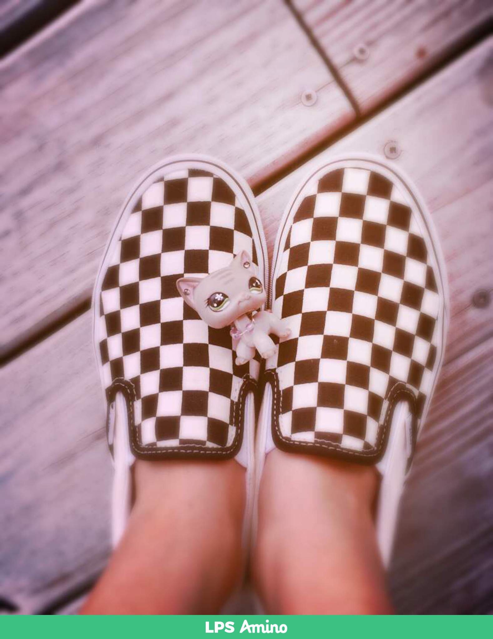 VaNs💝💀;) Wiki LPS Amino