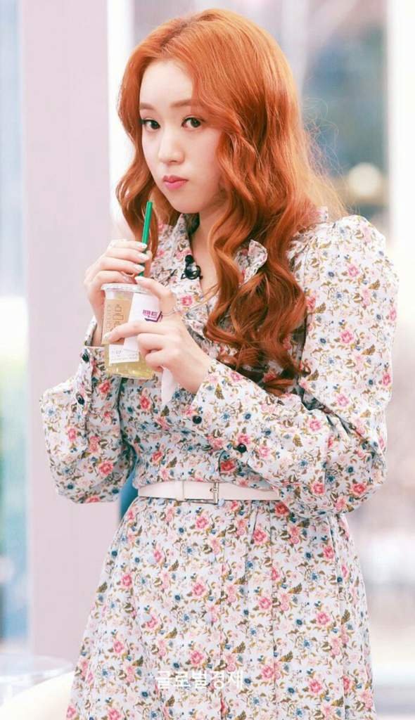 lee-sojung-wiki-crema-amino