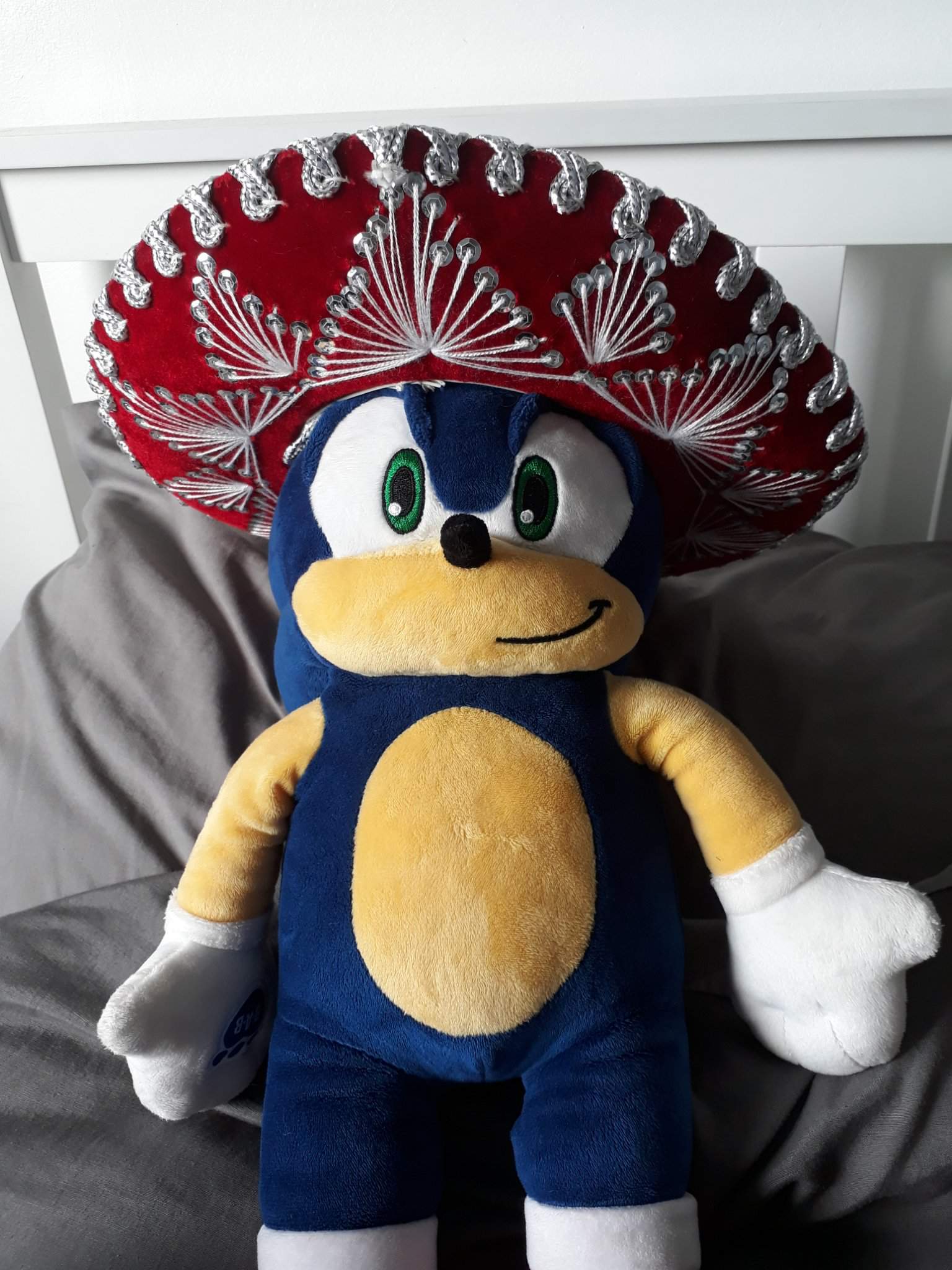 Sonic wearing a sombrero | Sonic the Hedgehog! Amino