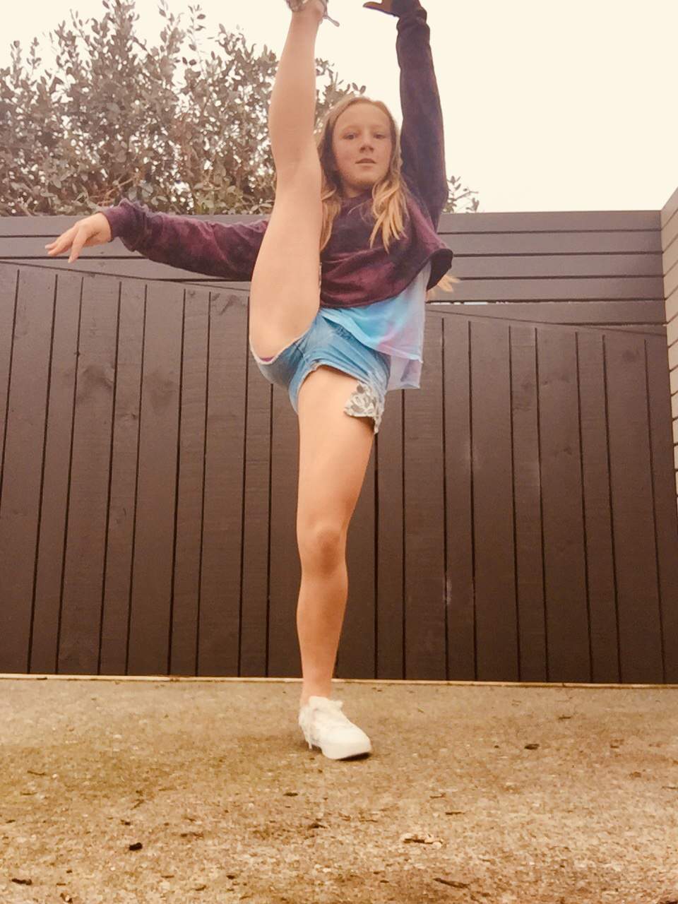 🌸leg Holds🌸 🏅gymnastics Amino🏅 Amino