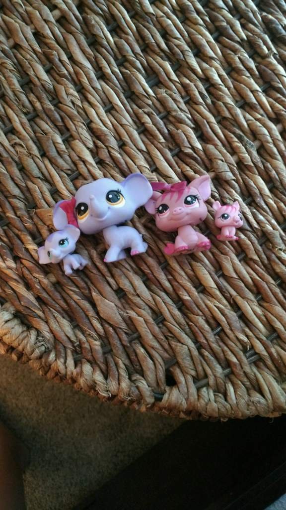 LPS | Wiki | LPS Amino