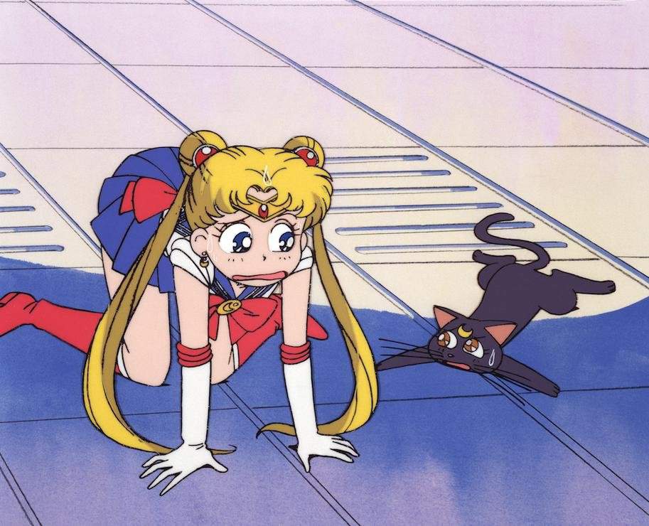 (Serena) 🌙 Sailor Moon Español Amino.