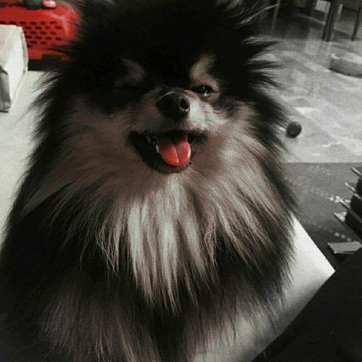 yeontan Wiki ꕤ䨻 ᦇ꧐ᨢꪶꪱᬦ ៶៶龗 Amino