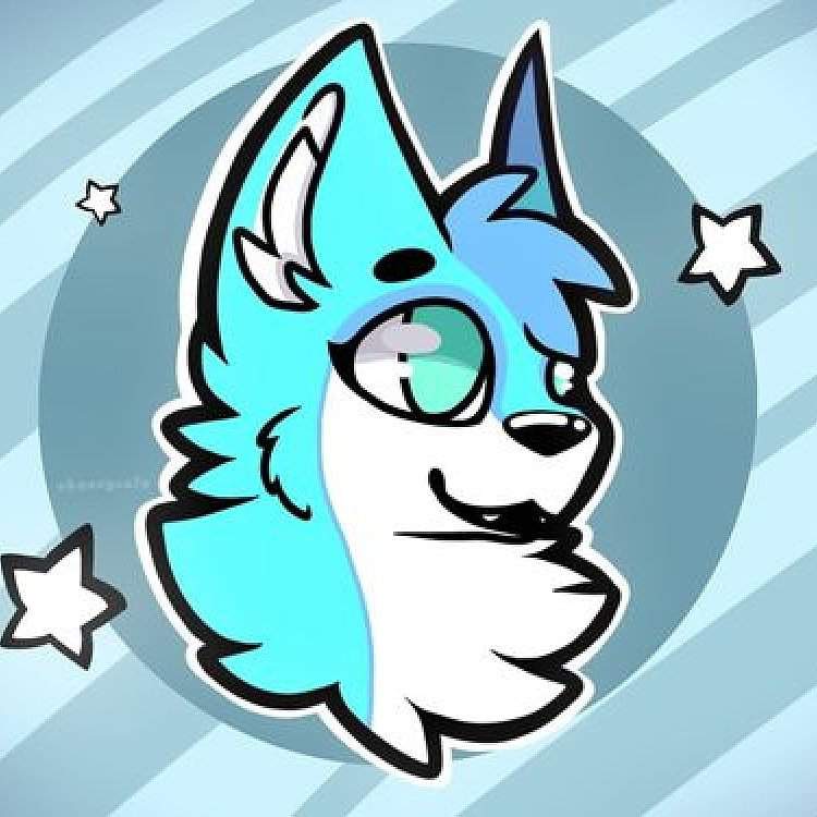 All Of My Fursonas | Wiki | Furry Amino