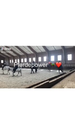 amino-pferdepower 🎀-d1213e5a