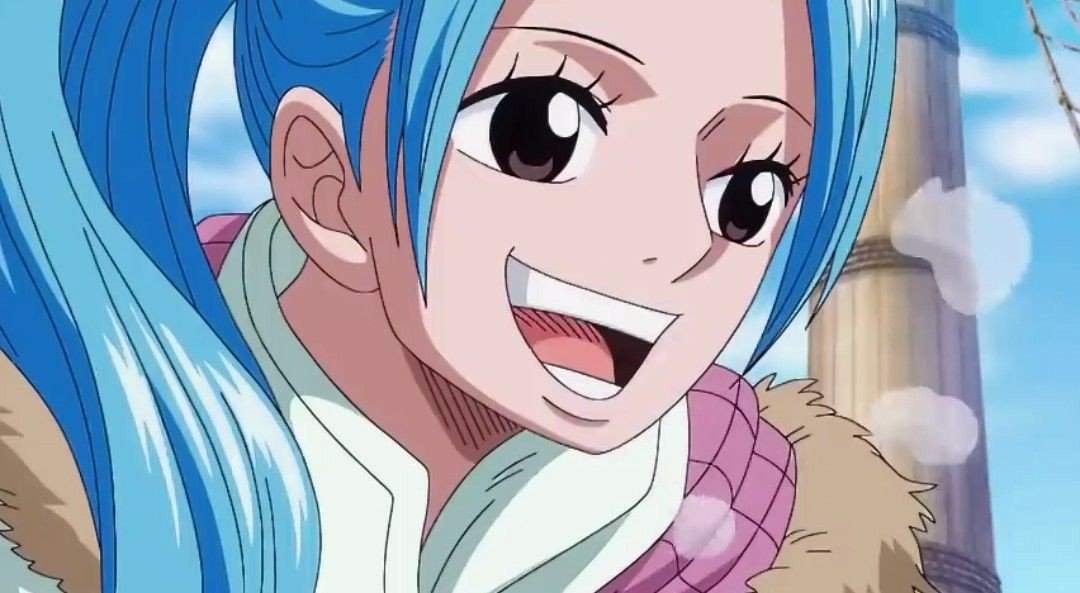 Nefertari Vivi Wiki One Piece Amino