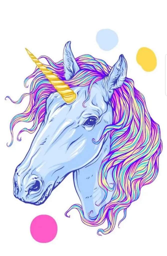 Почему единороги такие красивые? | Wiki | 🦄Любители Единорогов🦄 Amino