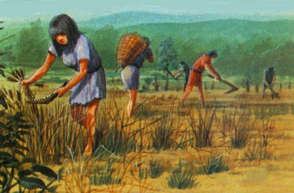 Домашнее порно смотреть - Мужик сеет в пизде рыжей девки семенной урожай