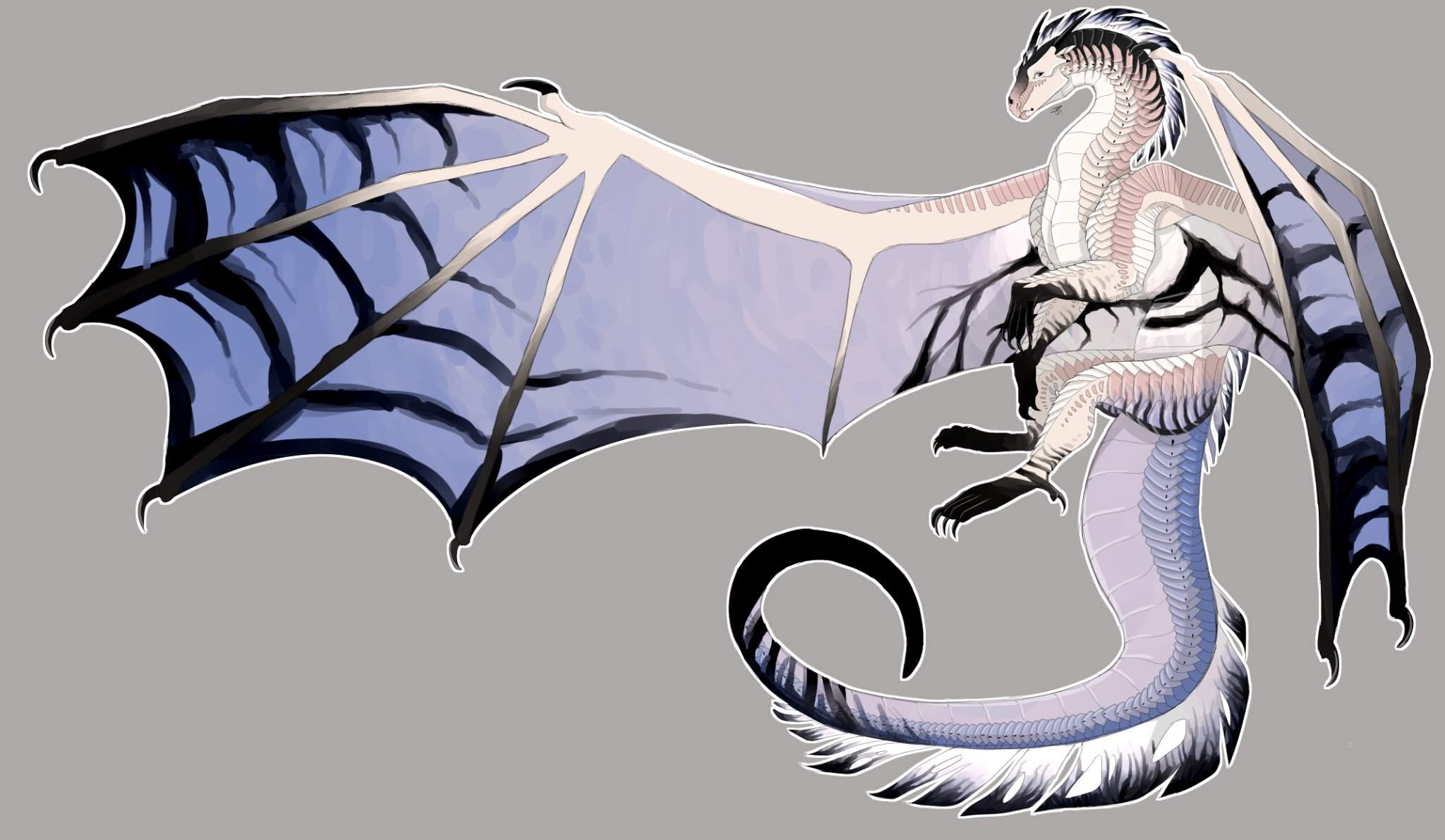 Sandwingnightwing Hybrid Wings Of Fire Amino 