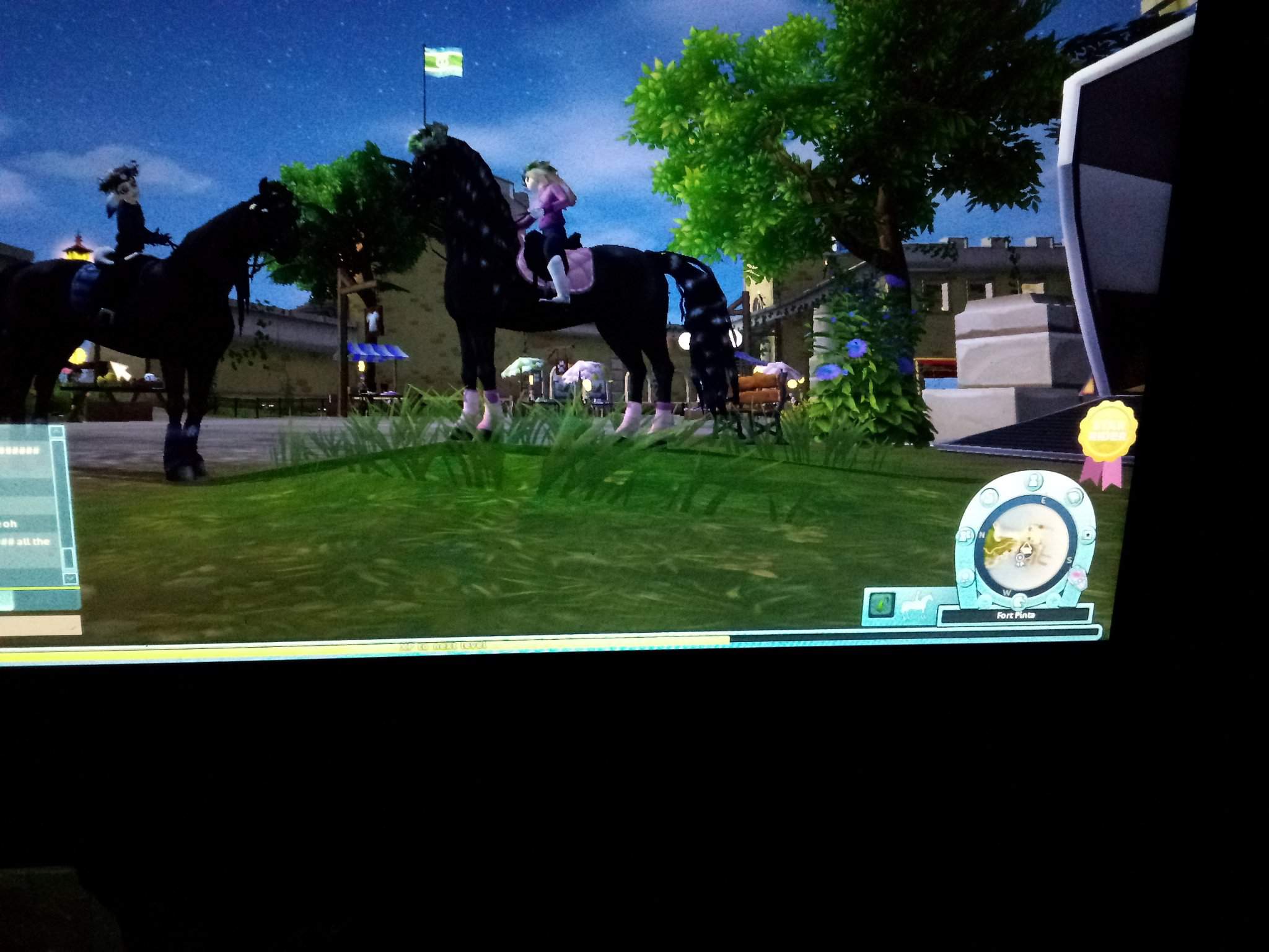 Me My GF Wiki Star Stable Online Amino