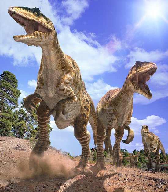Giganotosaurus | Wiki | Amino Paleontología Amino