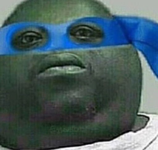 Featured image of post The Best 24 Ninja Turtle Meme Pfp