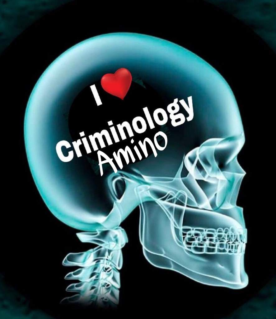 Criminologia Amino Wiki Criminolog A Amino Amino