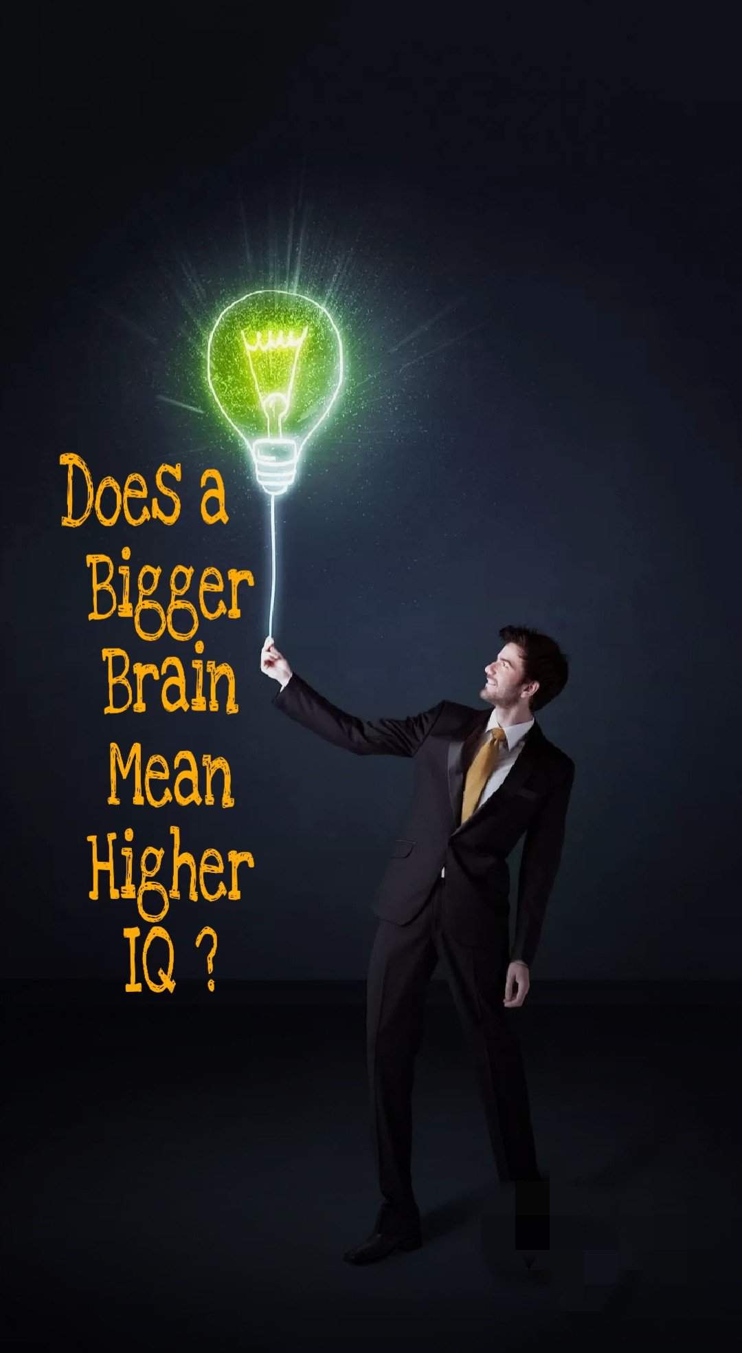 does-a-bigger-brain-mean-a-higher-iq-school-amino