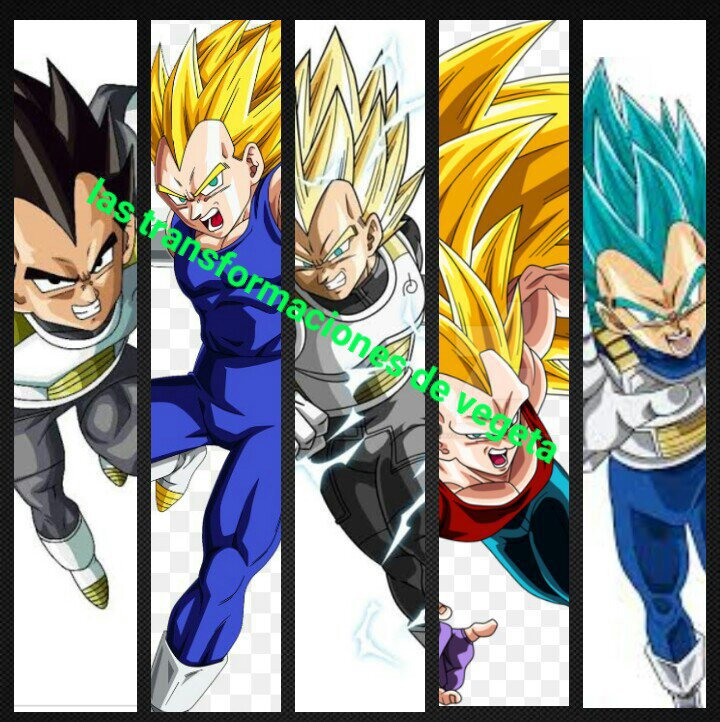 Las Transformaciones De Vegeta | DRAGON BALL ESPAÑOL Amino