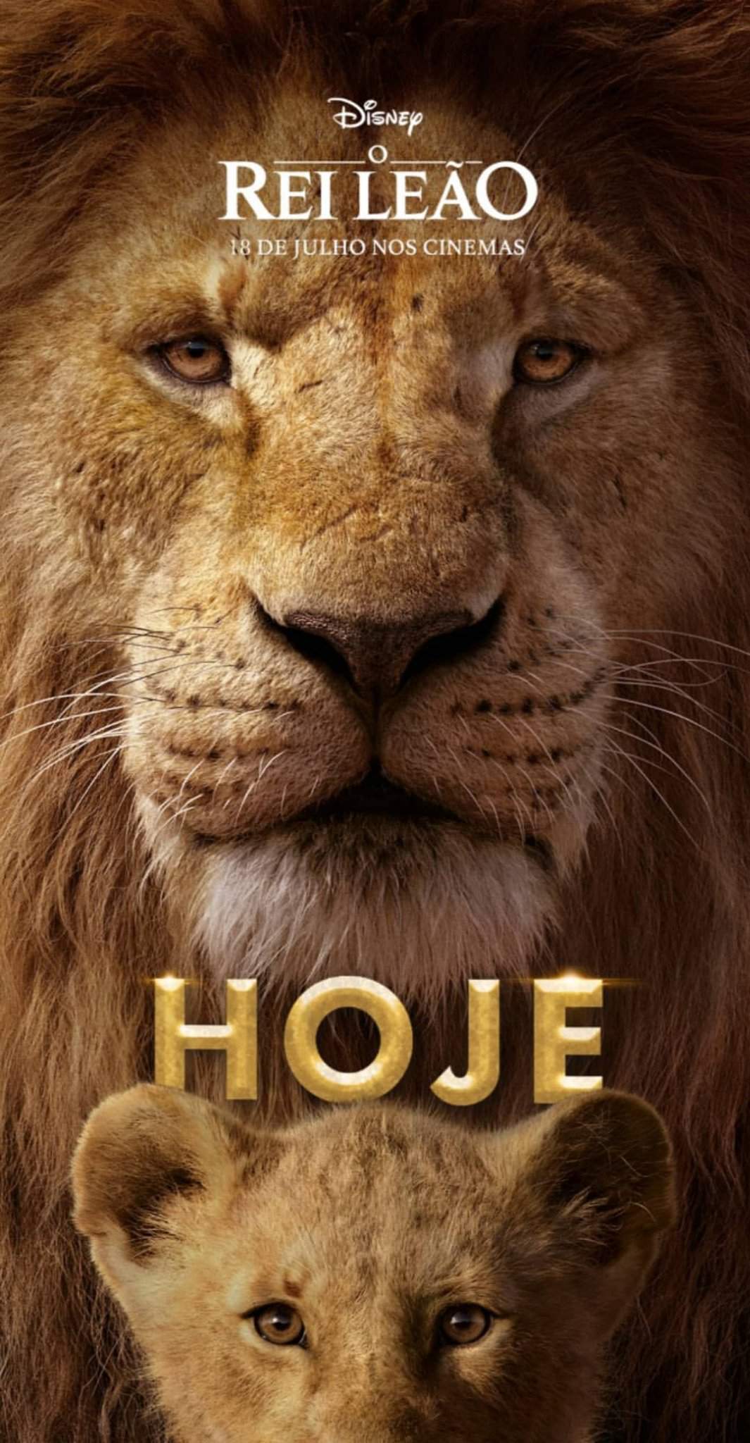 Hoje é A Estreia De O Rei Leão Live Action Nos Cinemas 🦁👑 Disney Amino Pt Amino 