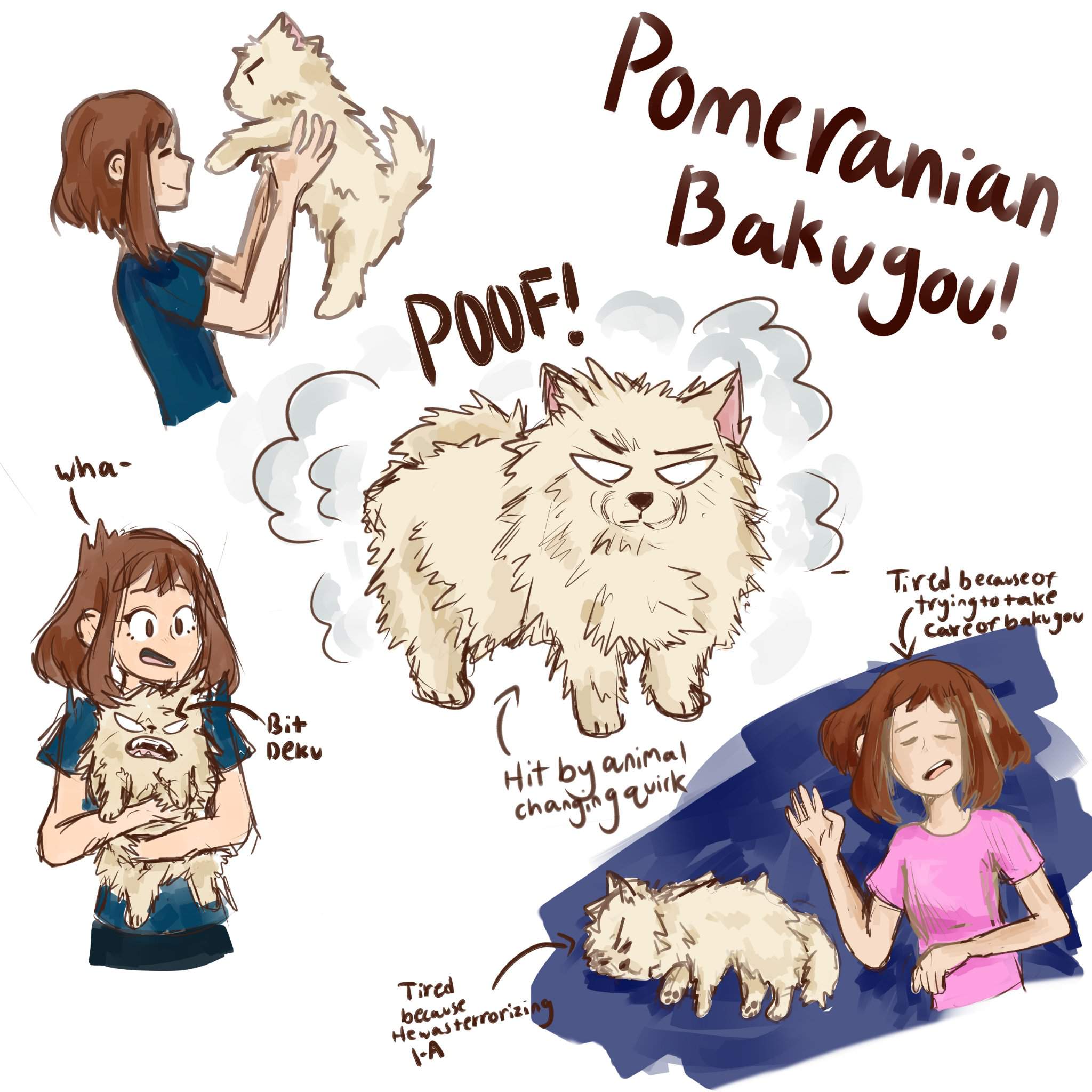 Pomeranian Bakugou | Beginner Artist Amino