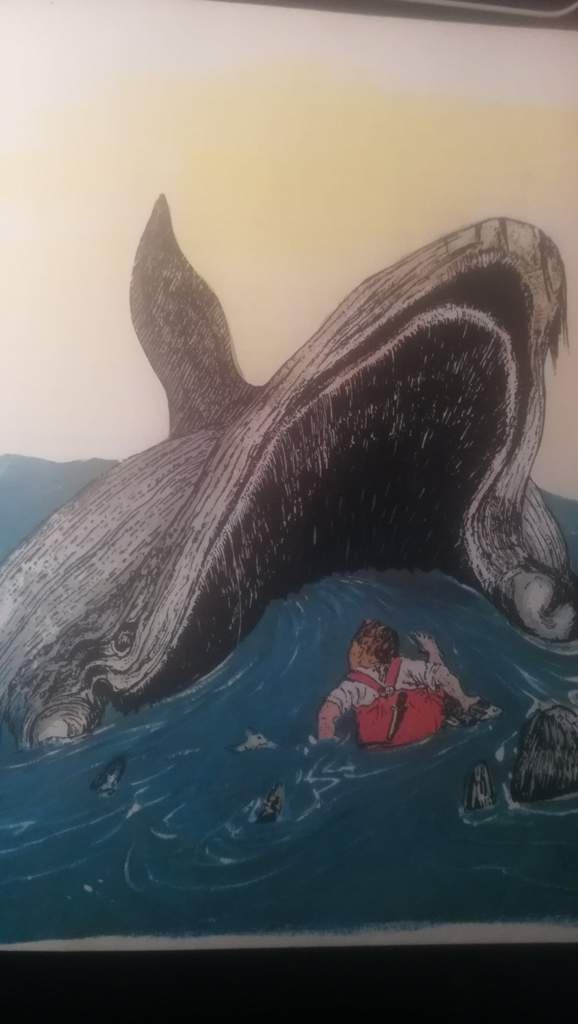 La Baleine et son gosier. La Grande Bibliothèque d