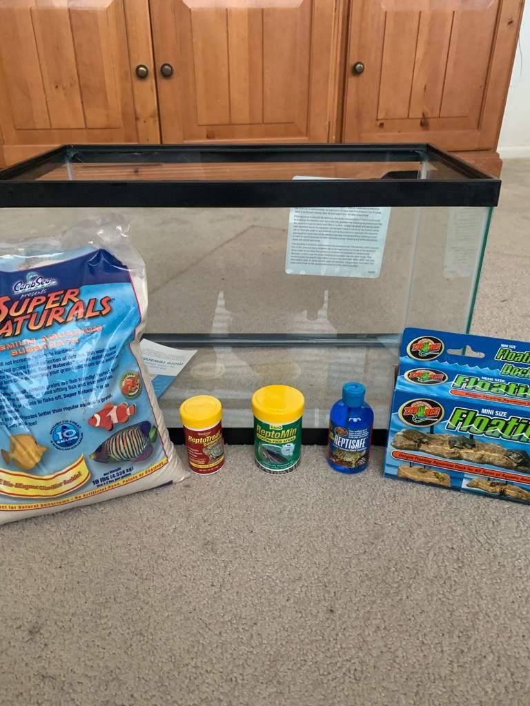 What Size Tank Do You Have? 🐢Turtles🐢 Amino