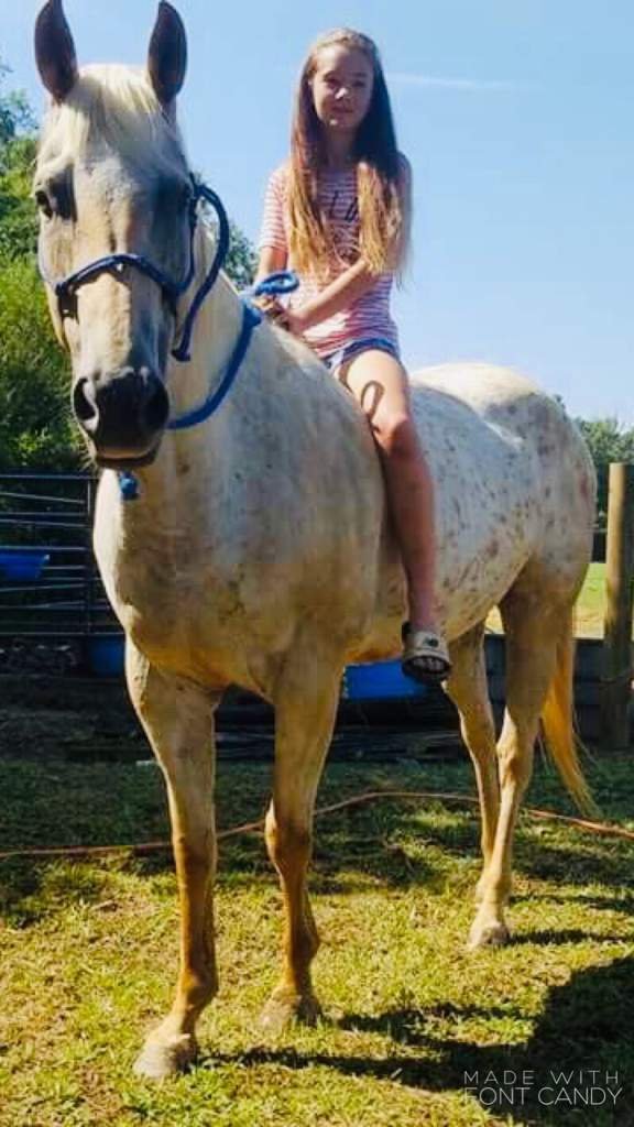What Color Looks Best? Horses Amino
