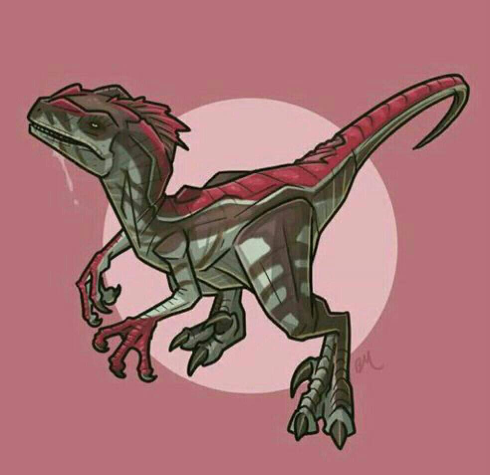 Velociraptor Wiki Jurassic World Amino Rpg ™ Amino