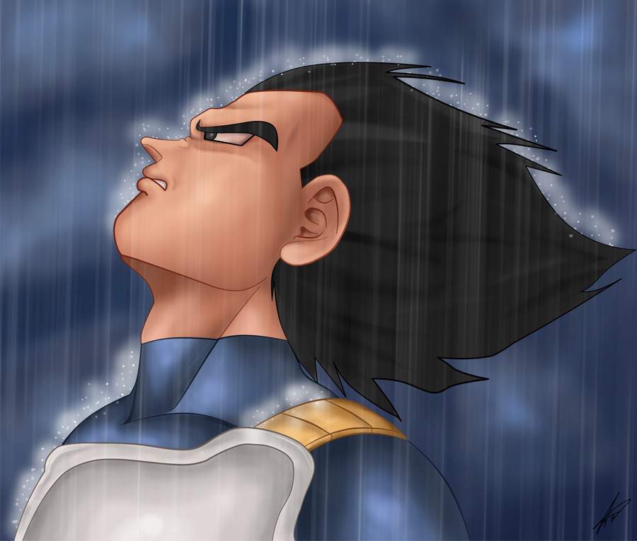 Vegeta 5 Stages of Grief DragonBallZ Amino.