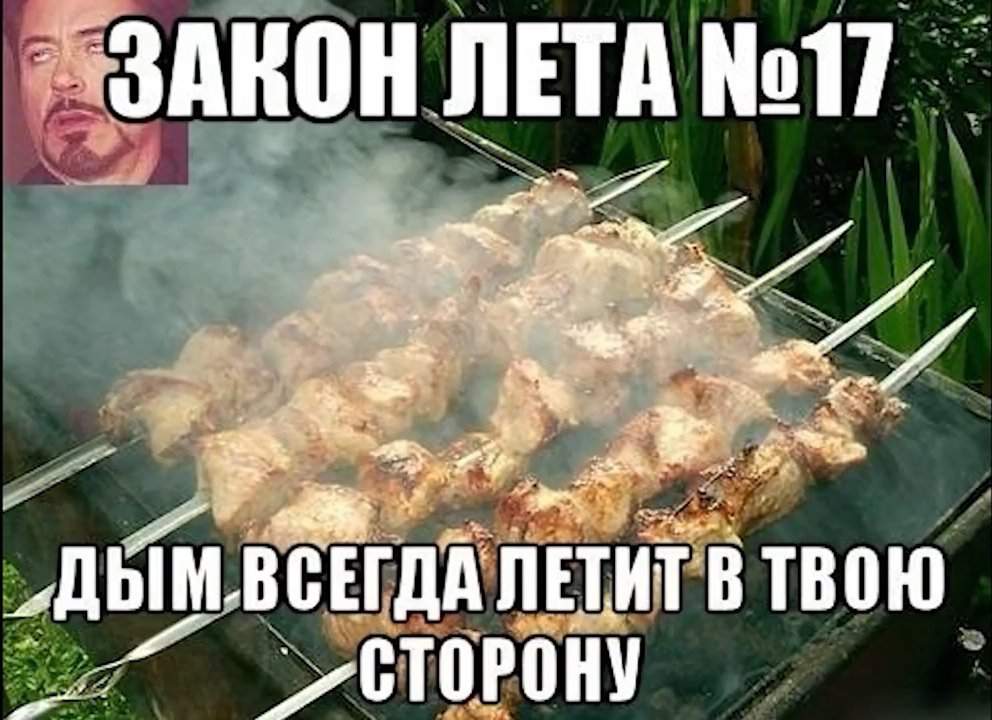 Шашлык смешные картинки