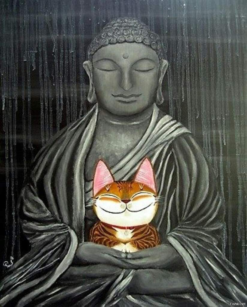 Кошка дзен буддист