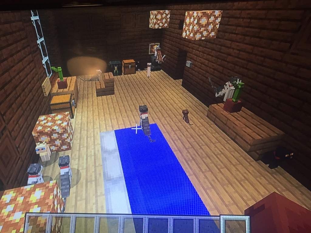 I think I have too many cats Minecraft Gamers Amino