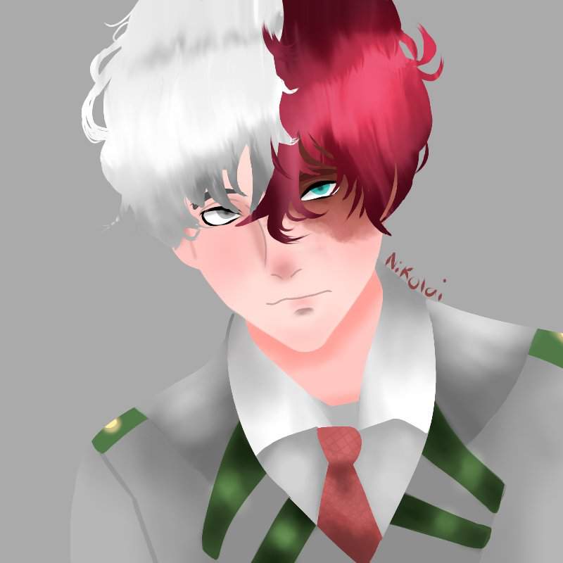 Shoto Todoroki Class My Hero Academia Amino