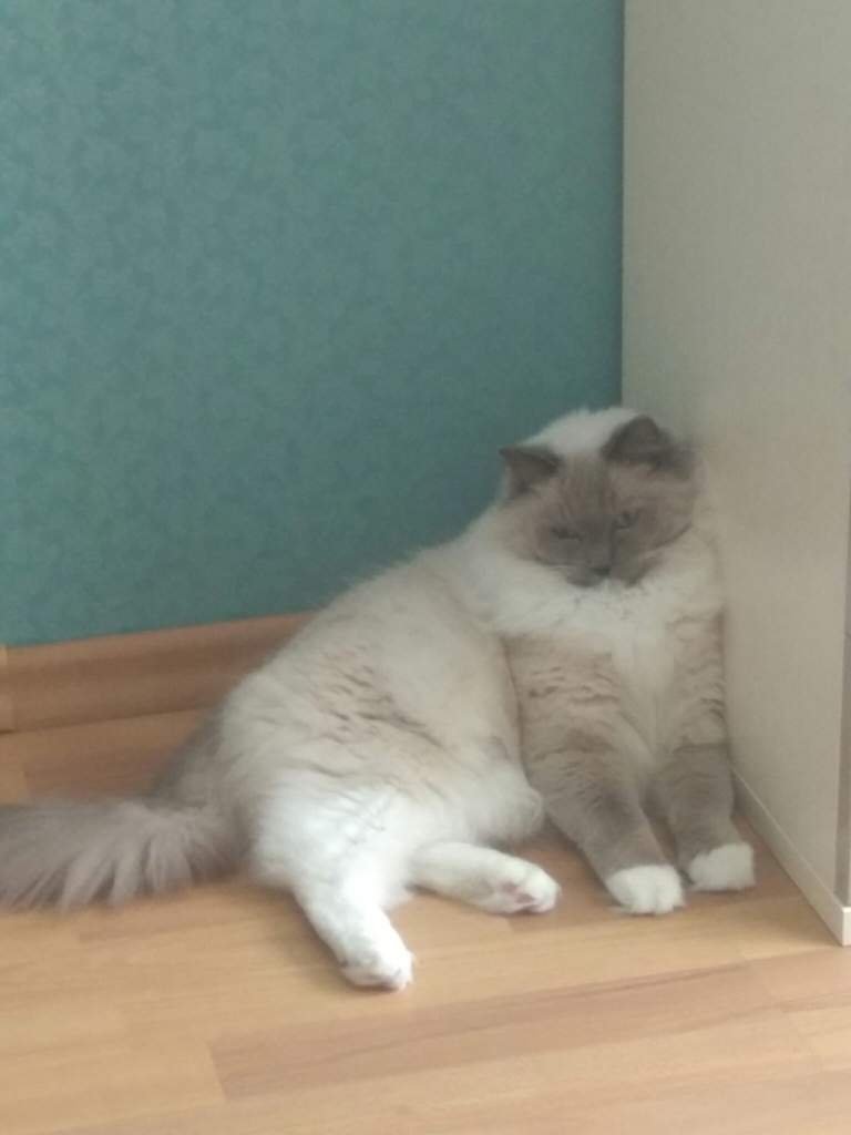 An Nanba