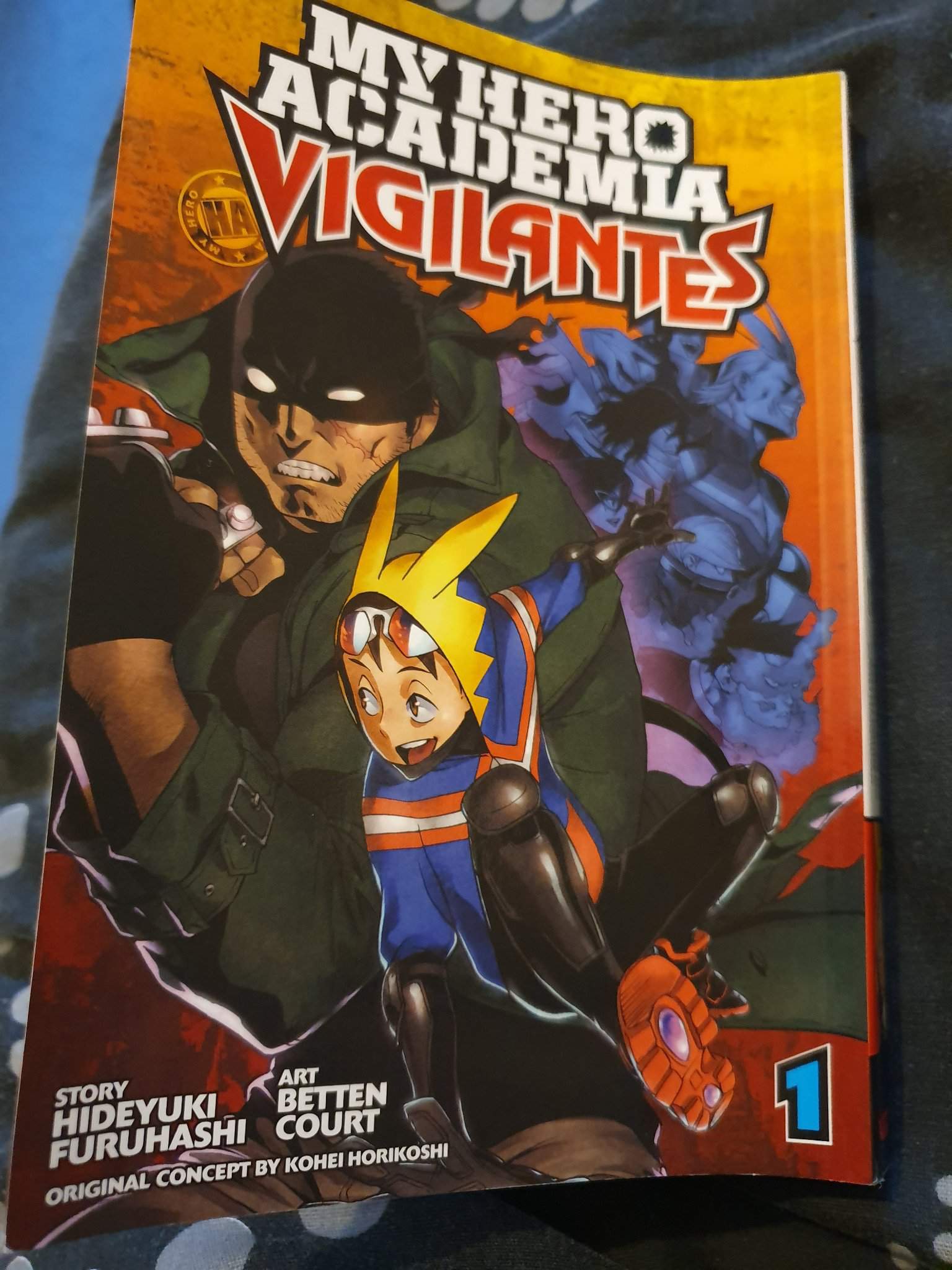 Mha Vigilantes | My Hero Academia Amino